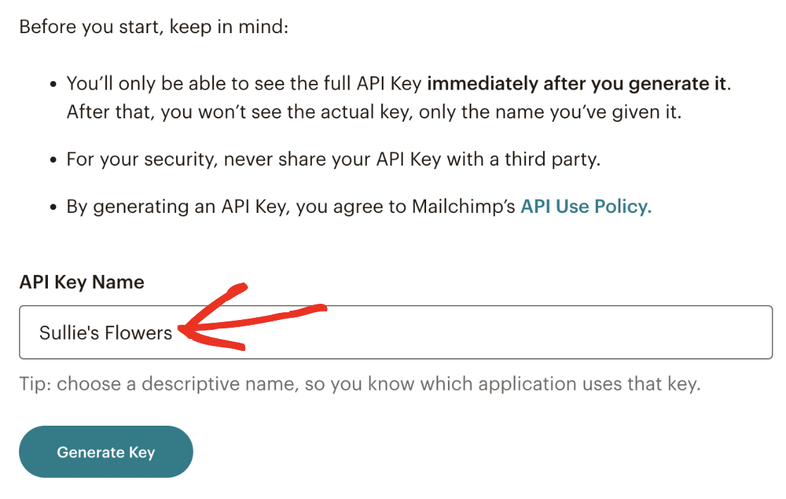 API key name