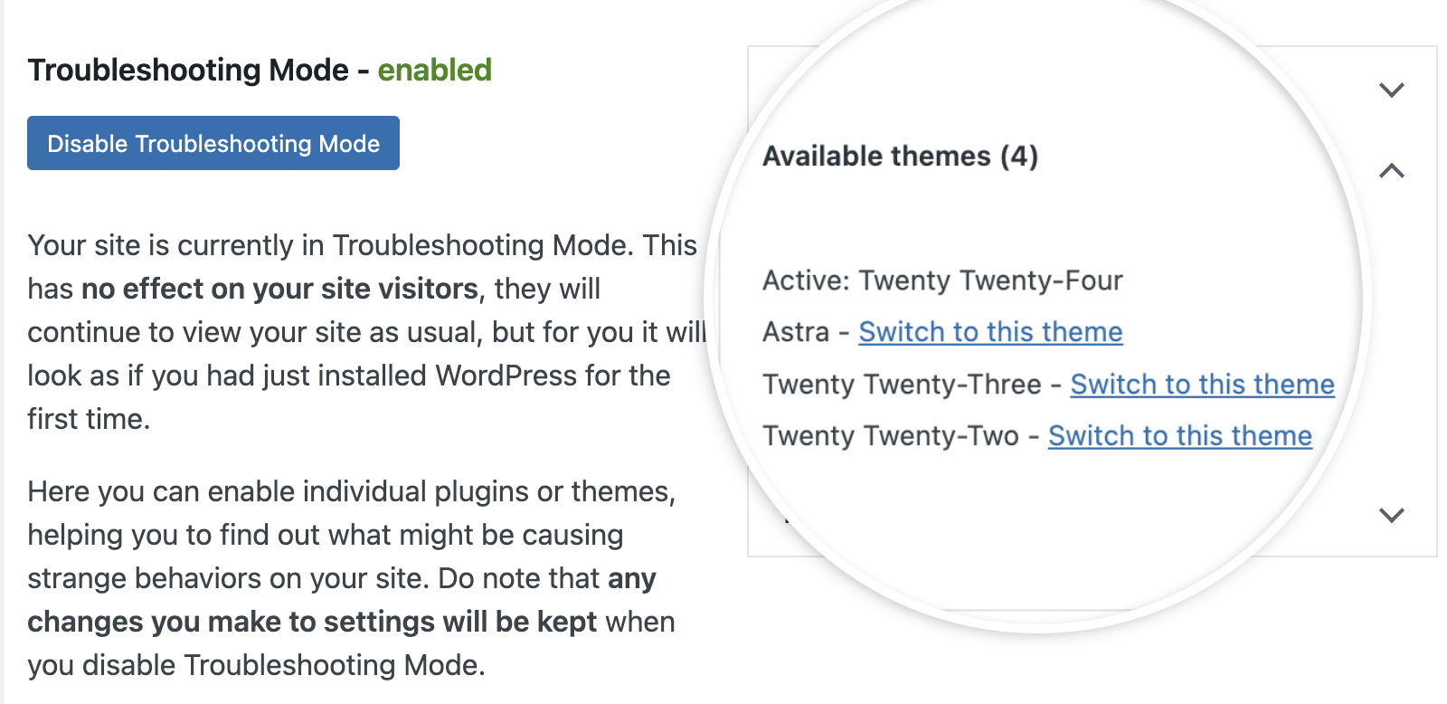 Viewing available themes when troubleshooting JavaScript issues.