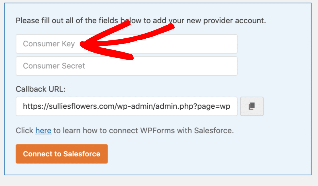 Adding the Salesforce Consumer Key to WPForms