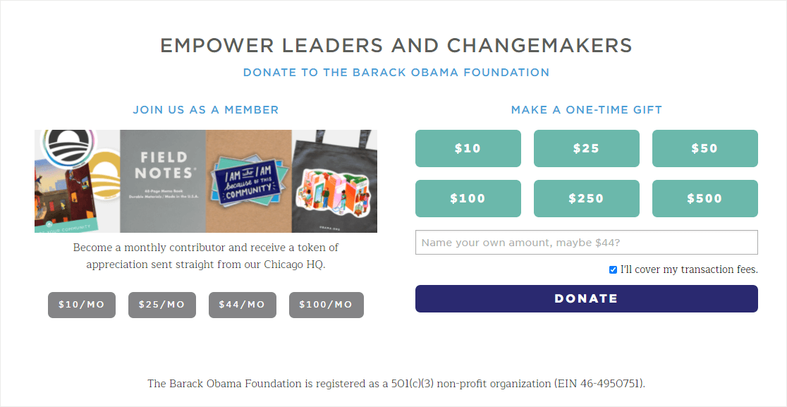 donation page example with monthly options