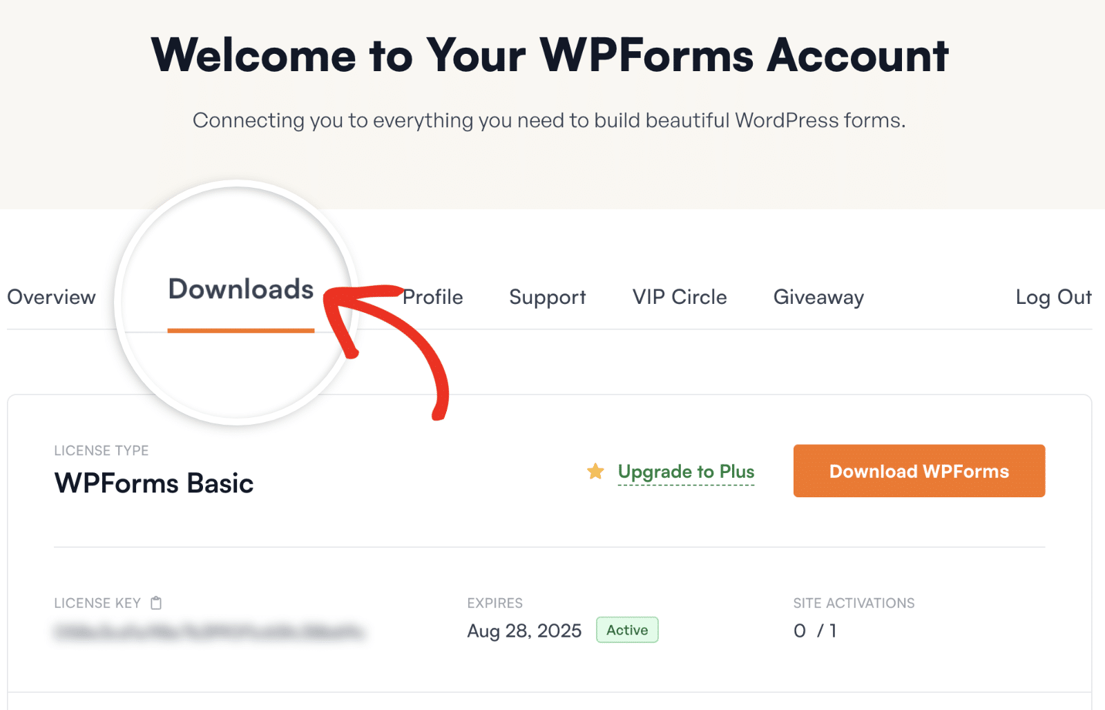 Downloads tab in WPForms