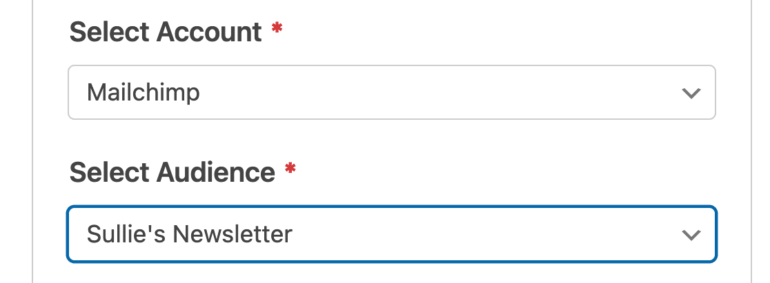 Selecting a Mailchimp audience for a form connection