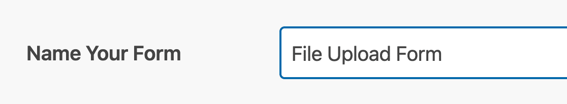 Naming your file upload form