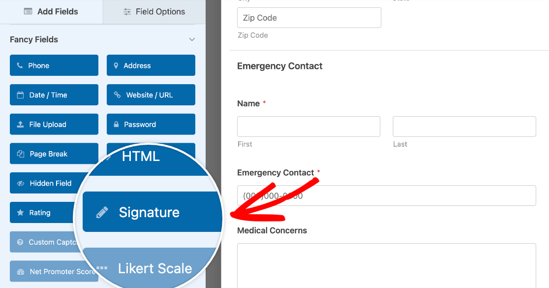 Signature field