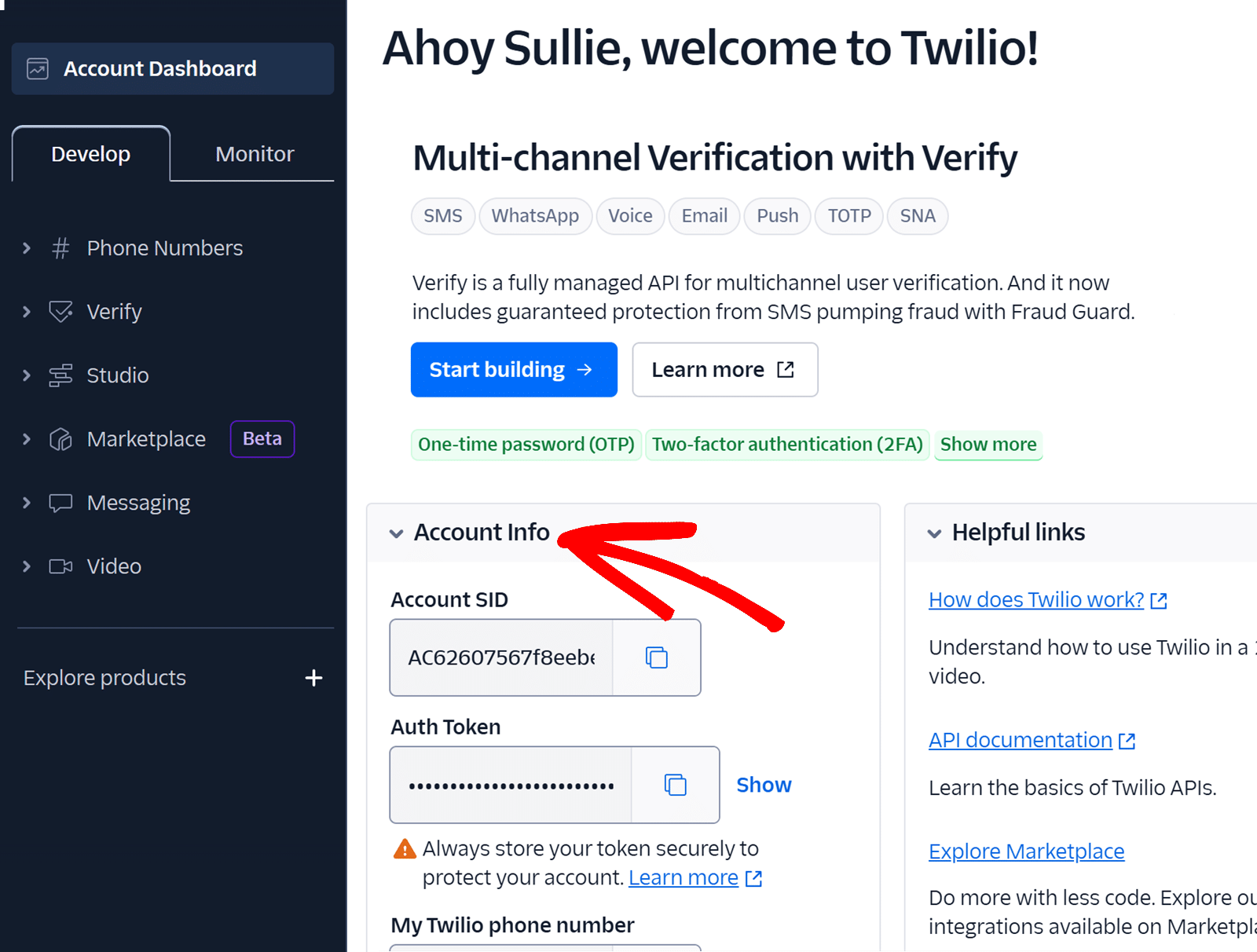 Twilio Account Info dashboard