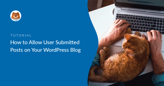 Allow User Submitted Posts in WordPress