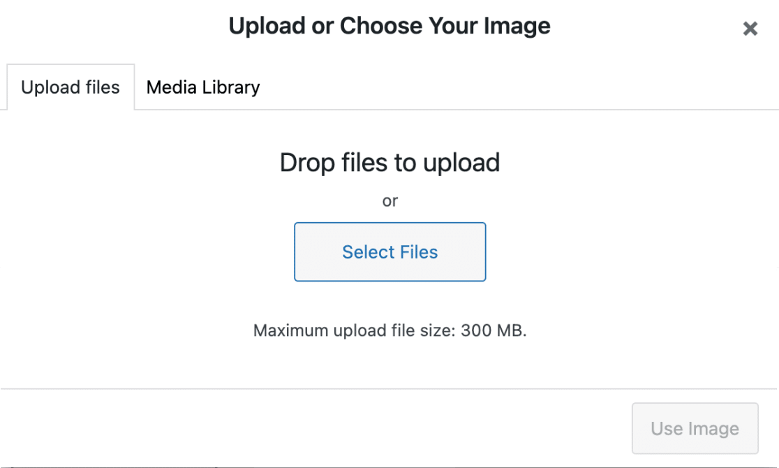 WordPress media library upload